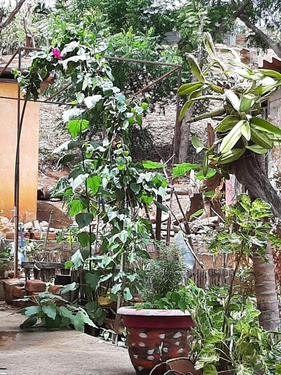 El Jardin Hotell San Juan del Sur Eksteriør bilde